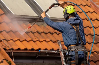 Démoussage et hydrofuge de toiture au Vert